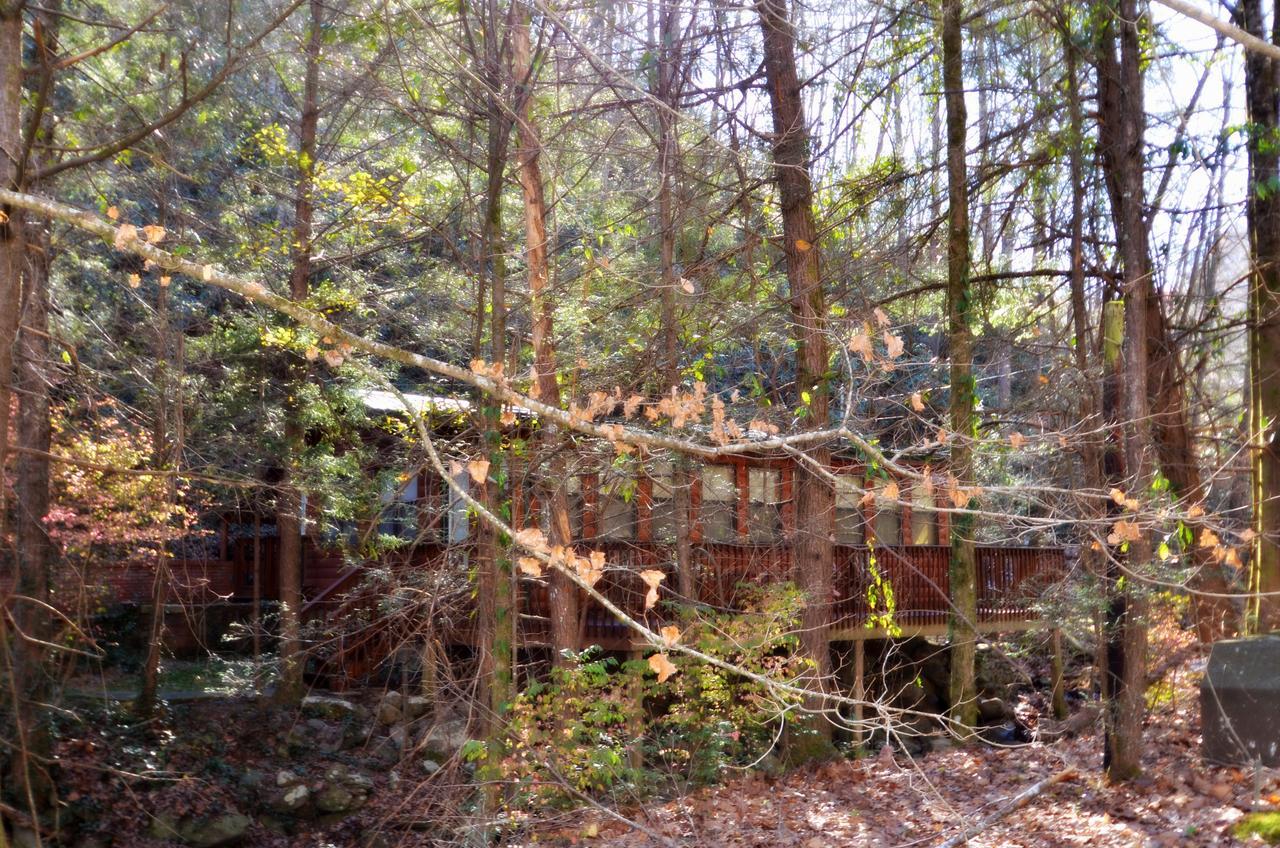 Little Creek Cabin Villa Chalet Village Esterno foto