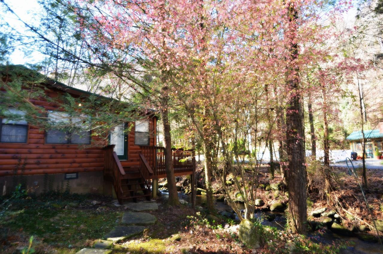 Little Creek Cabin Villa Chalet Village Esterno foto